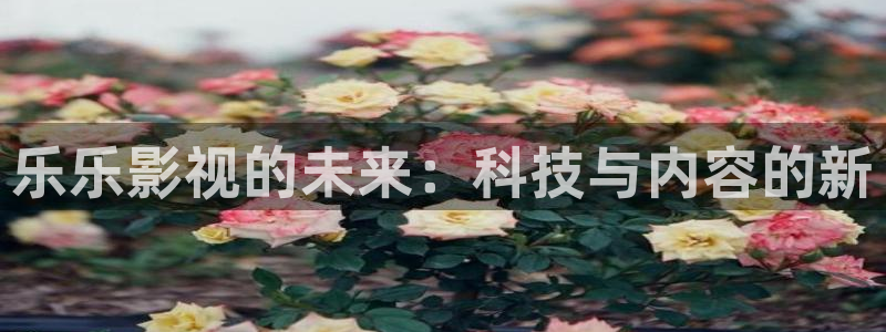 下载飘花影院