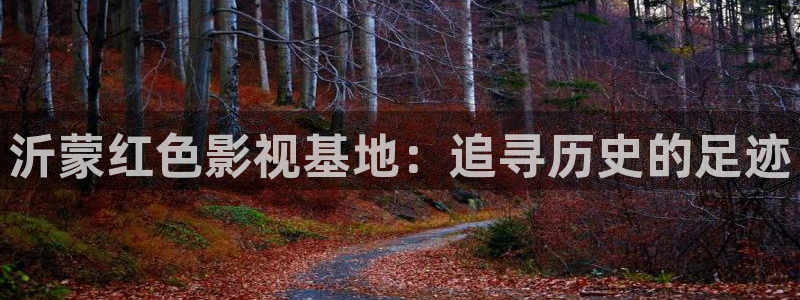 飘花影院午夜版
