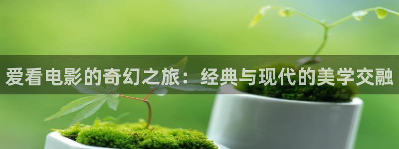 伦理片飘花电影
