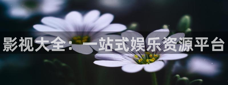新飘花电影网免费观看