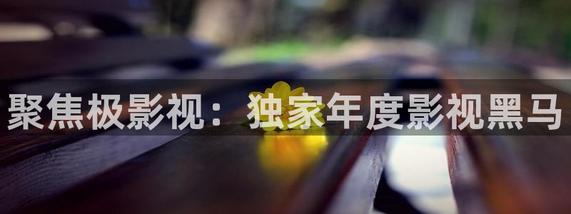 飘花影院看电影在线观看