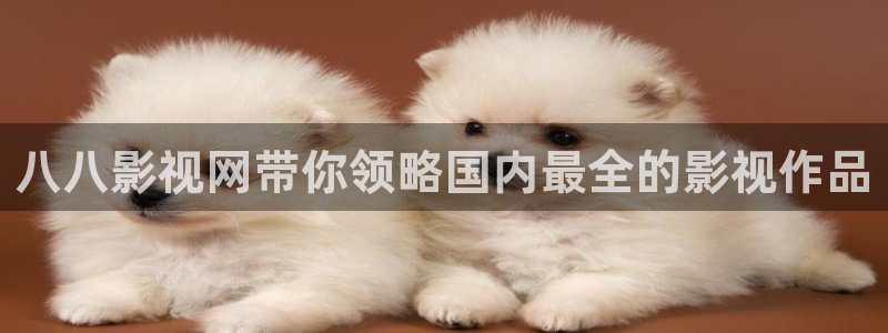 飘花影院天美视频