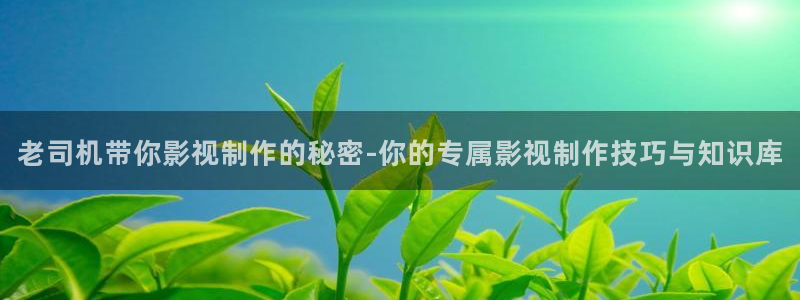 飘花电影网 伦理