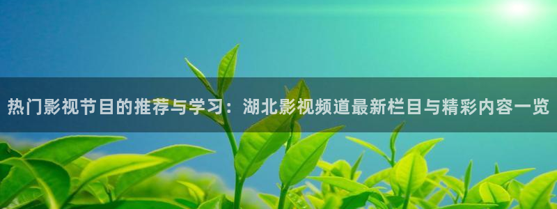 飘花电影网网