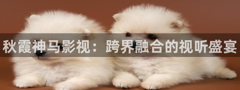 飘花电影理伦