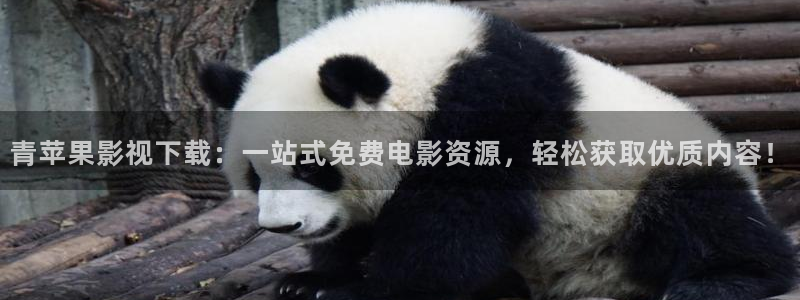 午夜飘花电影网
