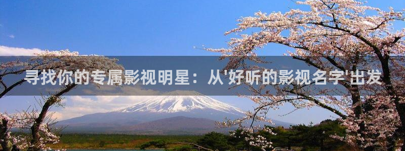 伦理飘花电影