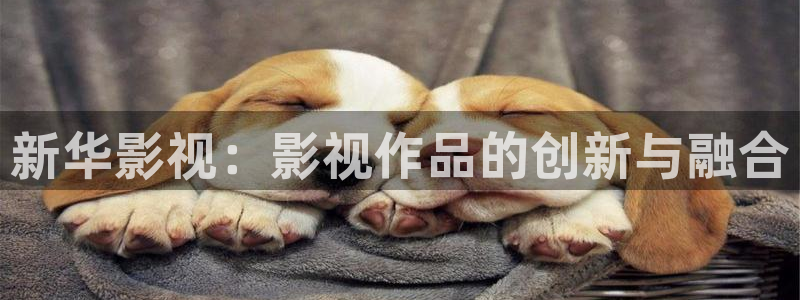 飘花电影网理论片