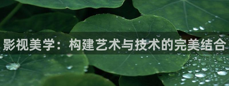 飘花电影院午夜