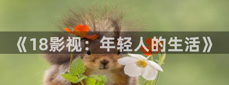 影院飘花