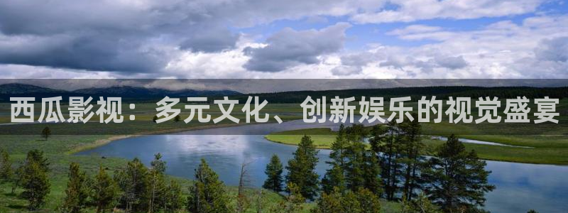 飘花视频在线观看免费播放电视剧