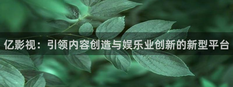 电影下载飘花