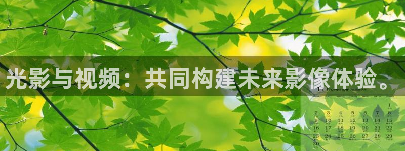 飘花电影网大全免费观看